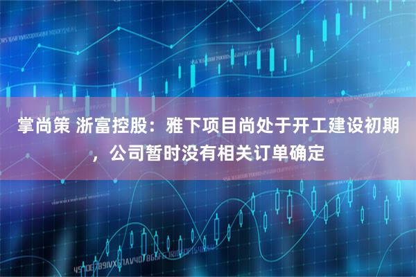 掌尚策 浙富控股：雅下项目尚处于开工建设初期，公司暂时没有相关订单确定