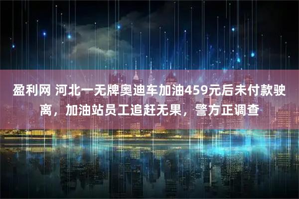 盈利网 河北一无牌奥迪车加油459元后未付款驶离，加油站员工追赶无果，警方正调查