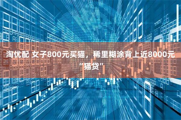 淘优配 女子800元买猫,稀里糊涂背上近8000元“猫贷”