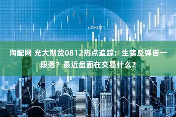 淘配网 光大期货0812热点追踪：生猪反弹告一段落？最近盘面在交易什么？