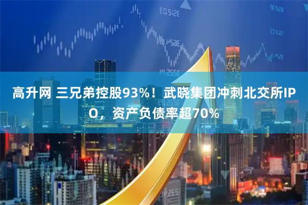 高升网 三兄弟控股93%！武晓集团冲刺北交所IPO，资产负债率超70%